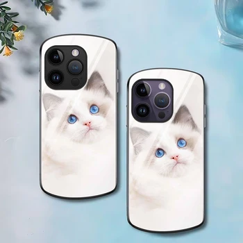 Gudrs Balts Kaķis Tālrunis Lietā par Iphone 14 11 13 12Mini Pro Max XS X XR 7 8Plus SE2022 2020. gadam Luksusa Ovāls, Rūdīta Stikla Vāks Coque